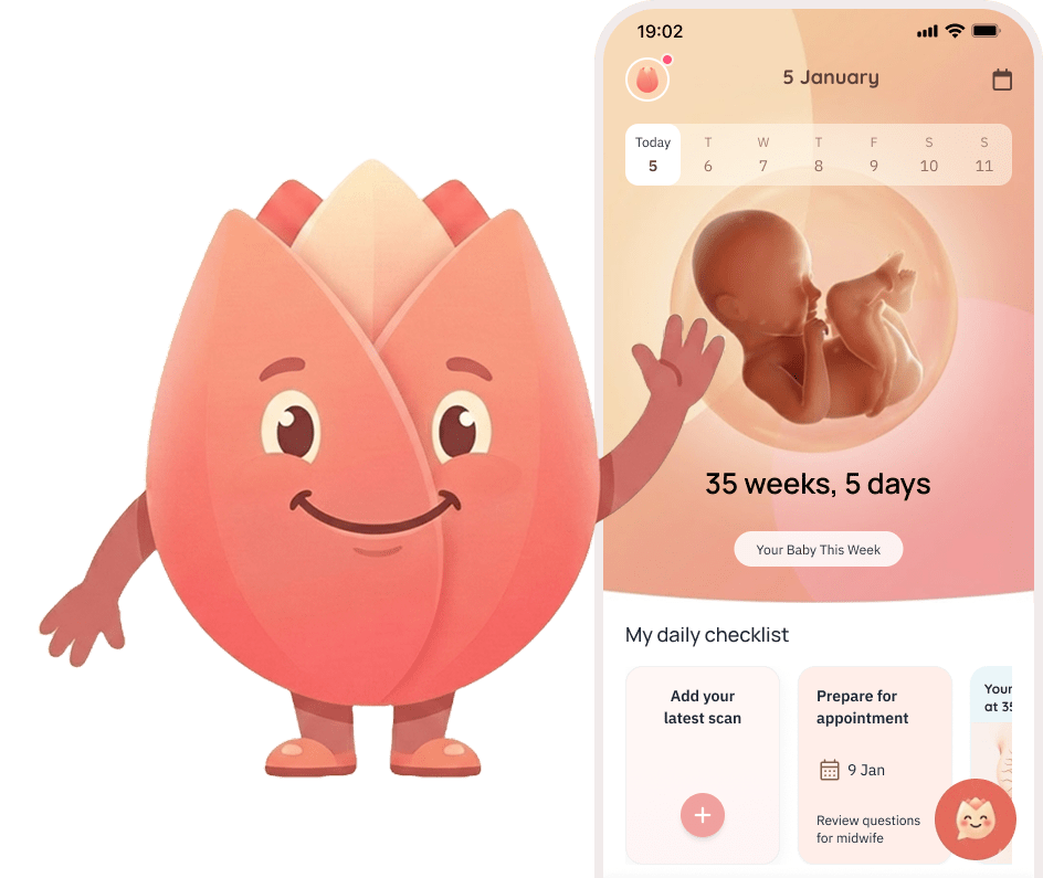 Zeyra App Preview