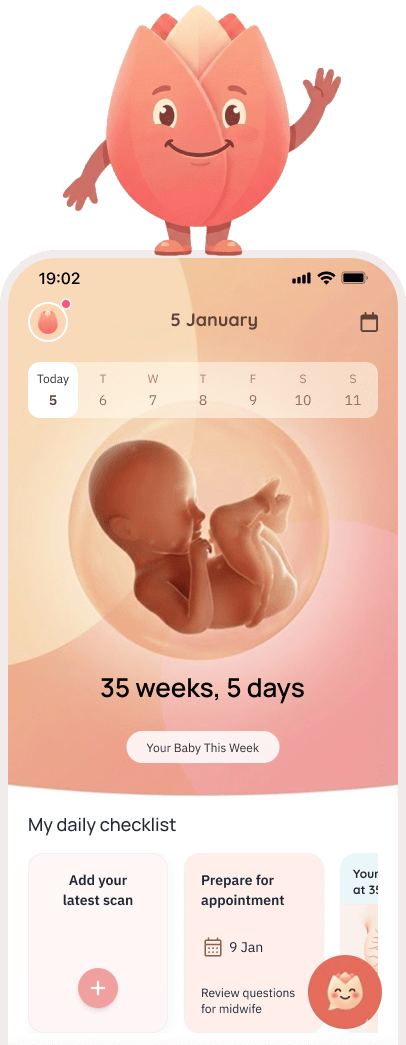 Zeyra App Preview